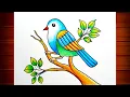 Bird Drawing for Beginners Bird Scenery Drawing Birds Drawing Colour How to Draw Birds