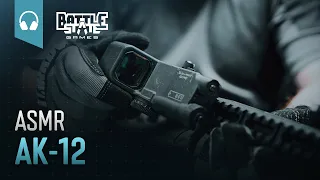 BSG.ASMR.AK-12