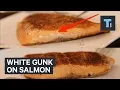What that white gunk on your salmon actually is and how to prevent it