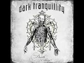Insanity's Crescendo (Live in Milan 2008)