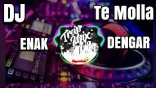 Download DJ SLOW TE MOLLA REMIX TERBARU 2020 | FULL BASS ENAK BANGET COK MP3