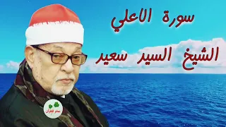 سورة الاعلي السيد سعيد دندنها