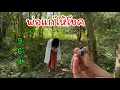 Lagu พ่อแก่ให้โชคครั้งแรก ขอให้ลูกหลานโชคดี