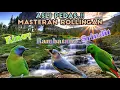 Download Lagu RAJA NYA MASTER ROLINGA‼️ KINOY - RAMBATAN - SRINDIT