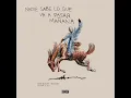 PERRO NEGRO - Bad Bunny & Feid