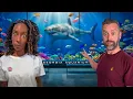 Brits Try America s BIGGEST Aquarium In Atlanta Was It Worth It