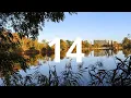 14 Second Countdown Timer With Alarm Sound At the End Simple Beep