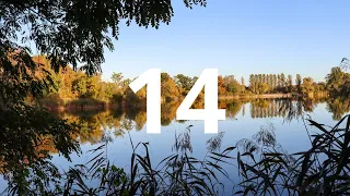 14 Second Countdown Timer With Alarm Sound At the End Simple Beep