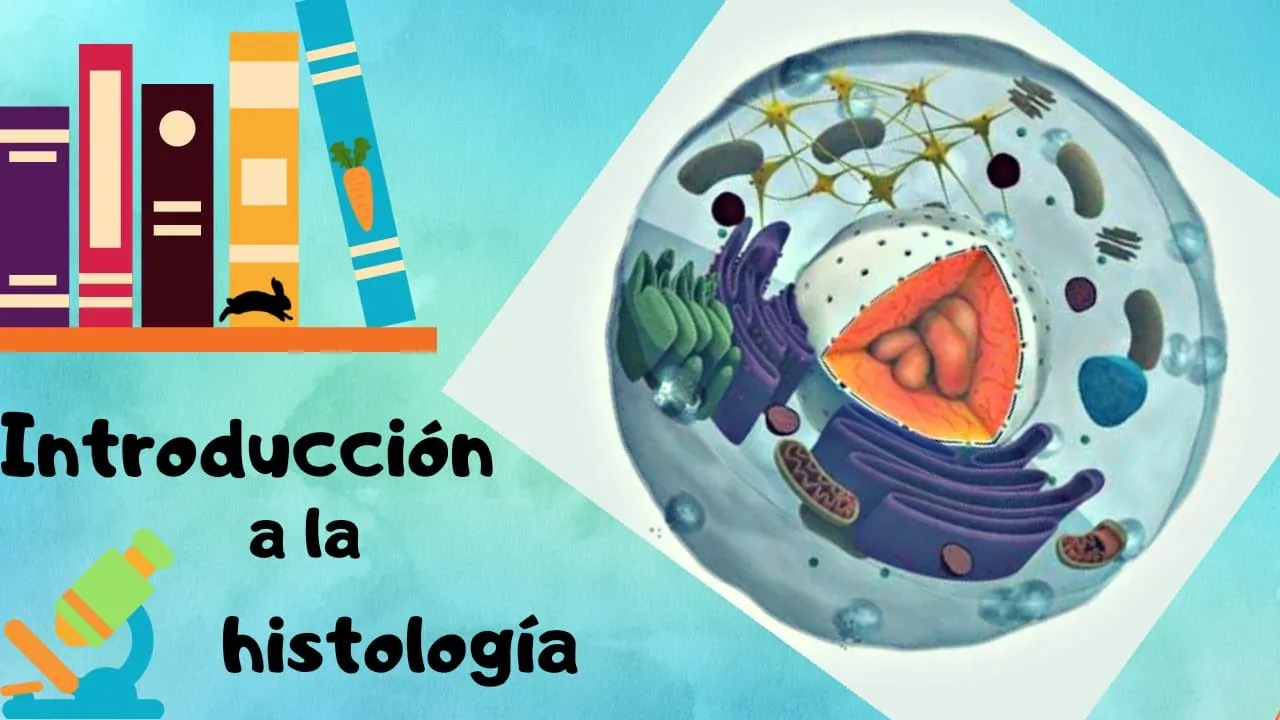 Introducción a la Histología|Conceptos básicos | DOCTOLOGO 🥕