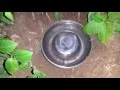 Kill groundhogs with a smoke bomb