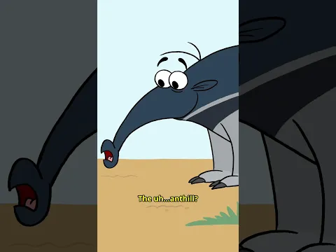 Anteater🐜