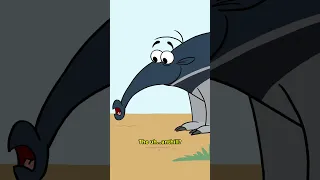 Anteater🐜
