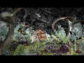 Billy Strings - I'm One of Those (Official Lyric Video)