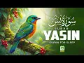 Lagu Surah Yaseen Full - Heart of Quran  Deeply Emotional Recitation  Spiritual Peace \u0026 Mental Relaxation