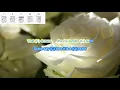 Download Lagu The Rose by Bette Midler play along with scrolling guitar chords and lyrics