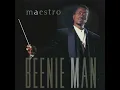Girls Way - Beenie Man