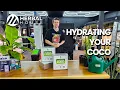 How To Hydrate Your Coco Brick
