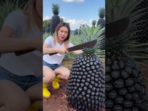 สับปะรดสีดำ เนื้อทัมทิม อร่อยมาก  #fruit #funny #viral #pony #amazing