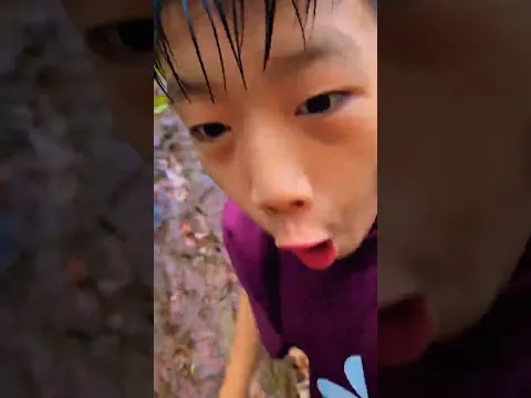 The boy regretted thinking he made the mother squirrel cry… Then came a heartwarming ending 🥹🐿️♥️