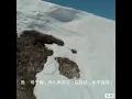 Never Give Up！ 永不放弃！