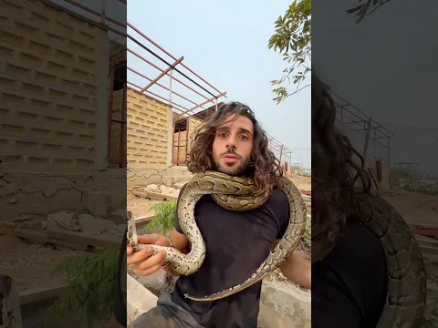 Il m’étrangle !! 🐍😰