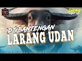 Download Lagu DJ BANTENGAN LARANG UDAN ‼️JINGLE PODO RUKUN REBORN ‼️Remixser By @DhaniSquarepants