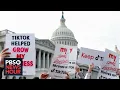The potential personal and political fallout of a TikTok ban