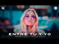 Alan Walker Style, Jyve V - Entre Tu y Yo (Freddy EM Remix 2023)