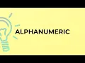 What is the meaning of the word ALPHANUMERIC