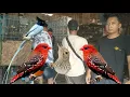 Lagu BANYAK BURUNG OMBYOKAN YANG UNIK ²