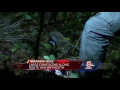 Large crime scene along road in Weymouth