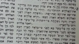 קריאת התורה פרשת נח יובל אבידני נוסח מרוקאי Torah Reading Yuval Avidani Noah 