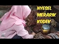 Nyesel Merarik Kodek | Film Sasak terbaru