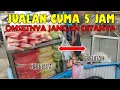 Download Lagu CUMA JUALAN BUAH POTONG RUJAK 5 JAM OMSETNYA JANGAN DI TANYA