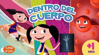 DENTRO DEL CUERPO