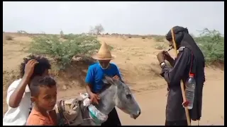 قصبة ومزمار تهامي القصاب التهامي حسن مساوى ابراهيم مقبول الزرانيق بتاريخ 23 يونيو 2025 