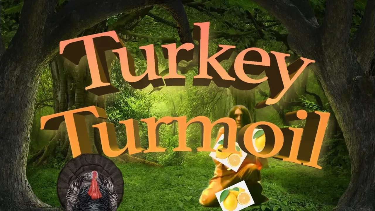 Turkey Turmoil