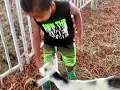 Tyrus at the Petting Zoo