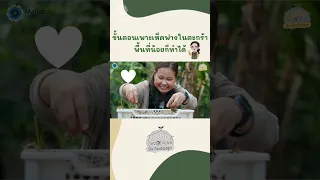 อาหารเสริมที่แนะนำสำหรับเชื้อเห็ดฟางมีอะไรบ้าง และมีบทบาทอย่างไร?