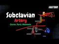 Download Lagu Schema van de arteria subclavia (verloop, takken, onderdelen, ezelsbruggetjes) | Anatomie