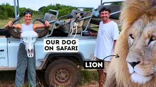 WE NEARLY GOT EATEN BY LIONS!! Ep 405