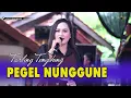 Download Lagu PEGEL NUNGGUNE ~ TENGDUNG // CITRA NADA LIVE DESA CIBUNIWANGI // KEC.BANJARHARJO - KAB.BREBES
