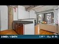 1110 W 15th Street Unit 311 Chicago IL Laricy Properties Drone Tour Listing