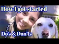 How to make your PET SITTING posters business cards