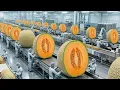 Lagu Inside a Modern Cantaloupe Factory: From Whole Melons to Melon Purée Base (Full Process)