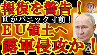 【EUがパニック寸前！チェコ情報機関『ロシア軍がEU領土に侵攻してくる可能性がある！』それNATO軍と全面衝突になるぞ！え！？日本も防衛戦争準備を始めてるじゃん！弾薬庫を130棟新設のガチ激震！】EU