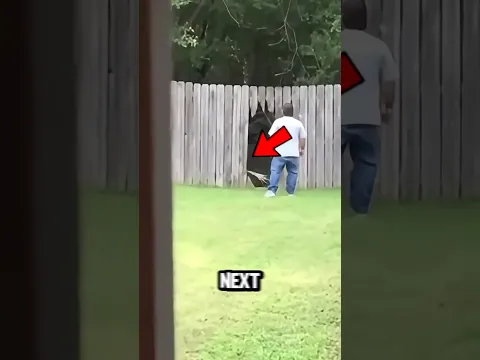 What Hid Beyond the Fence Will Shock You!!