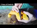 Pumpkin Horse Carving Vegetable Decor Art BukidLifeandArt