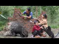 Download Lagu make a hedgehog cage out of bricks, tame wild hedgehogs, d take care of animals, survival farm