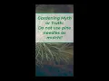 The Shocking Truth About Pine Needles Mulch Great for Beginners
